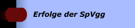 Erfolge der SpVgg